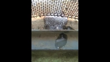 The hornyboy unexpected cum.