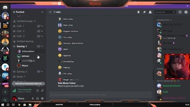 Une partie de plaisirs sur discord.......