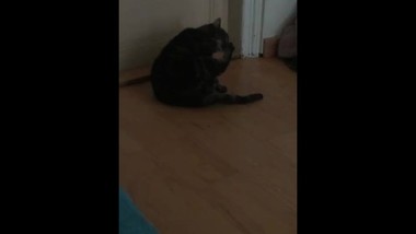 Licking my blonde british feet while mommy is filming me yeah banana