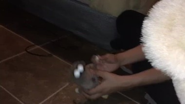 Boy has naughty tantrum and mom treats him specially 3