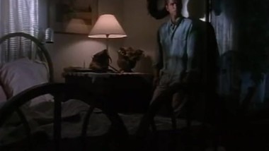 Cynthia Rothrock - Fatal Passion
